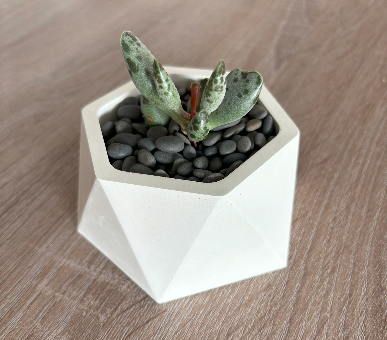 Vaso em cimento cerâmico