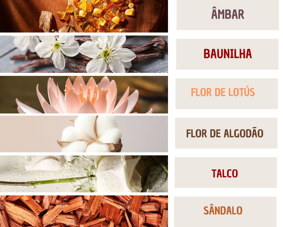 Fragrâncias
